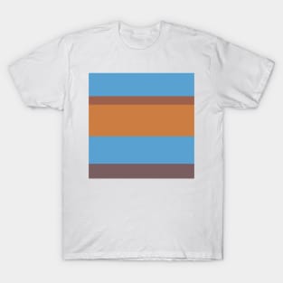 A delightful unity of Faded Blue, Mocha, Deep Taupe, Earth and Peru stripes. T-Shirt